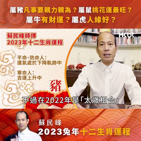 2023門口地毯顏色蘇民峰|蘇民峰 2023兔年流年風水佈局 • 旺人緣化是非 • 催財 • 催文昌考。